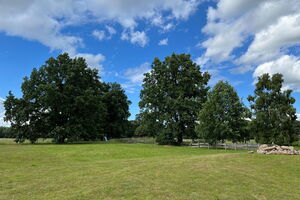 Reetdachhäuser Krienke - Gartenanlage