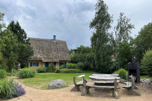 Reetdachhäuser Krienke - Gemeinschaftsgrillplatz