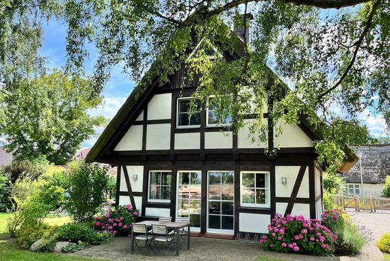 Ferienhaus Flieder - Terrasse und Garten