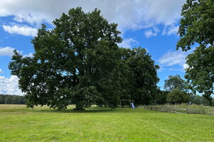 Reetdachhäuser Krienke - Gartenanlage