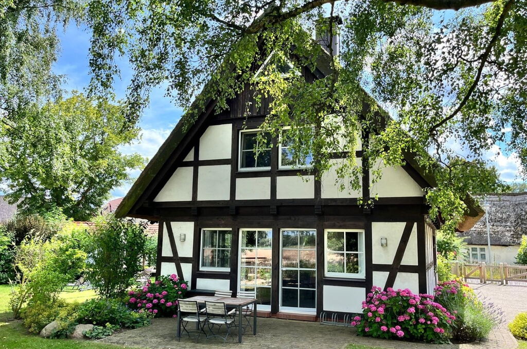 Ferienhaus Flieder - Terrasse und Garten